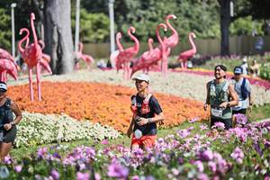 BIB: 
                            <button type="button" onclick="openModal(27794306)" class="btn btn-primary btn-sm float-right btn-popup" data-toggle="modal" data-target=".modal-high-quality">
                        <i class="fas fa-shopping-cart"></i> Add to Cart
                    </button>
                                            <button type="button" onclick="isThisMe(27794306, true)" class="btn btn-success btn-sm float-right btn-popup btn-isme hidden" data-toggle="tooltip" data-placement="bottom" title="นี่คือรูปของคุณใช่ไหม คลิกที่นี่เพื่อเอาเข้าอัลบั้ม">
                        <i class="fas fa-plus"></i> Add to album
                    </button>
                    <button type="button" onclick="isThisMe(27794306, false)" class="btn btn-warning btn-sm float-right btn-popup btn-isnotme hidden">
                        <i class="fas fa-ban"></i> Remove from album
                    </button>